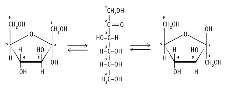 Иллюстрация к книге — Биология для тех, кто хочет понять и простить самку богомола [i_045.jpg]