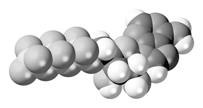 Иллюстрация к книге — Биология для тех, кто хочет понять и простить самку богомола [i_064.jpg]
