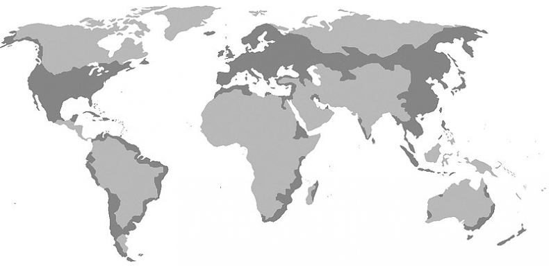 Иллюстрация к книге — Биология для тех, кто хочет понять и простить самку богомола [i_068.jpg]