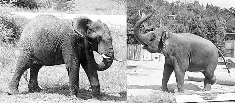 Иллюстрация к книге — Биология для тех, кто хочет понять и простить самку богомола [i_071.jpg]