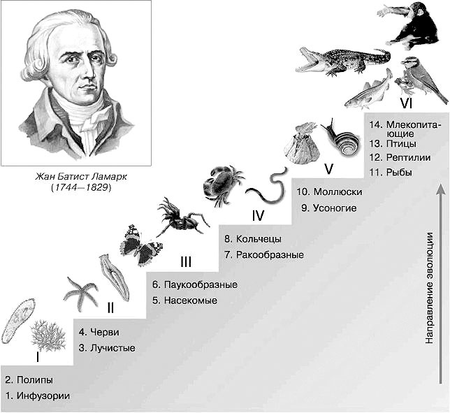 Иллюстрация к книге — Биология для тех, кто хочет понять и простить самку богомола [i_075.jpg]