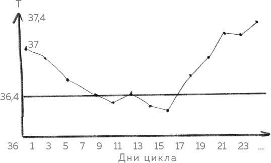 Иллюстрация к книге — Ab Ovo. Путеводитель для будущих мам: об особенностях женской половой системы, зачатии и сохранении беременности [img_17.jpg]