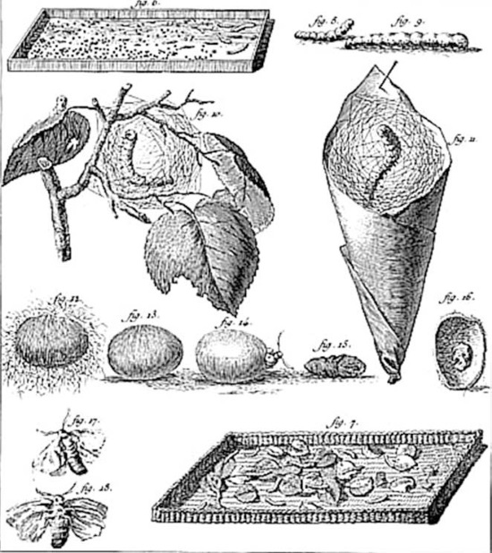 Иллюстрация к книге — Великий шелковый путь. Полная история [i_057.jpg]