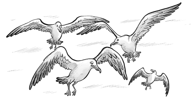 Иллюстрация к книге — Охотники за призраками. Лови волну, страшилка! [i_021.jpg]