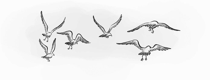 Иллюстрация к книге — Охотники за призраками. Лови волну, страшилка! [i_064.jpg]