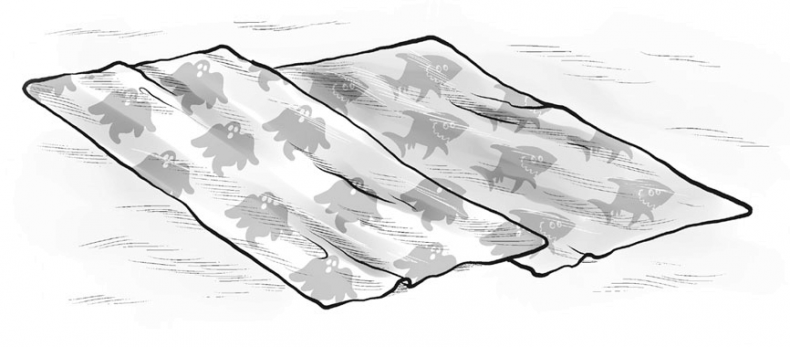 Иллюстрация к книге — Охотники за призраками. Лови волну, страшилка! [i_069.jpg]