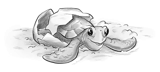 Иллюстрация к книге — Охотники за призраками. Лови волну, страшилка! [i_091.jpg]