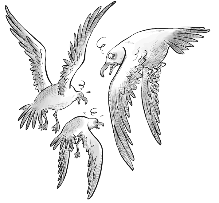 Иллюстрация к книге — Охотники за призраками. Лови волну, страшилка! [i_095.jpg]