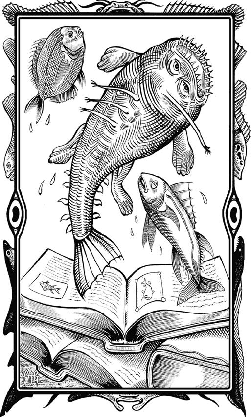 Иллюстрация к книге — О чём молчат рыбы. Путеводитель по жизни морских обитателей [i_005.jpg]