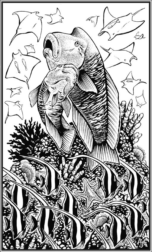 Иллюстрация к книге — О чём молчат рыбы. Путеводитель по жизни морских обитателей [i_048.jpg]