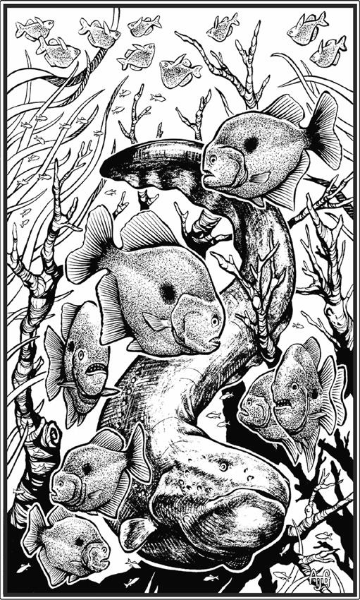 Иллюстрация к книге — О чём молчат рыбы. Путеводитель по жизни морских обитателей [i_056.jpg]