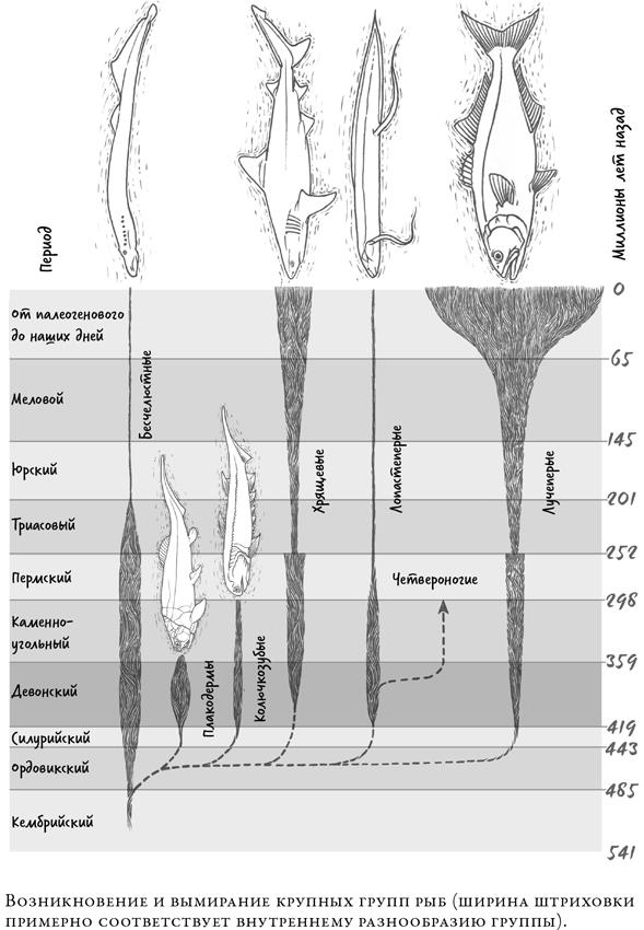 Иллюстрация к книге — О чём молчат рыбы. Путеводитель по жизни морских обитателей [i_073.jpg]