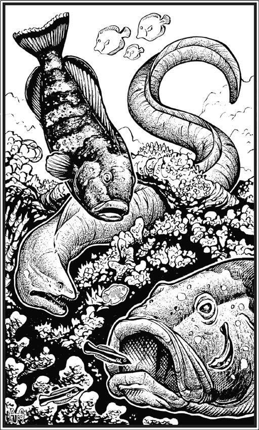 Иллюстрация к книге — О чём молчат рыбы. Путеводитель по жизни морских обитателей [i_089.jpg]