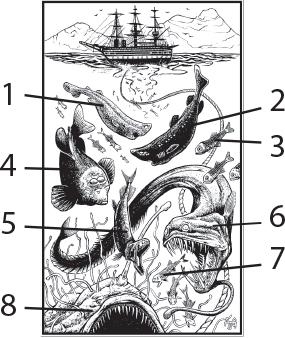 Иллюстрация к книге — О чём молчат рыбы. Путеводитель по жизни морских обитателей [i_099.jpg]