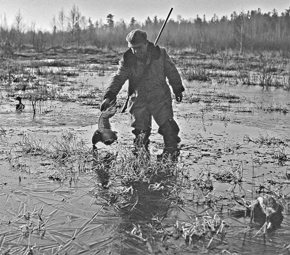 Иллюстрация к книге — Про тайгу и про охоту. Воспоминания, рекомендации, извлечения [image112_5c7667eee5dcb00600008b9f_jpg.jpg]