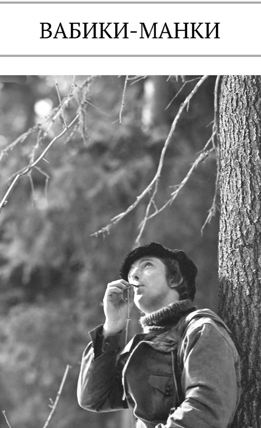 Иллюстрация к книге — Про тайгу и про охоту. Воспоминания, рекомендации, извлечения [image114_5c7d7384eb123906002ac43f_jpg.jpg]