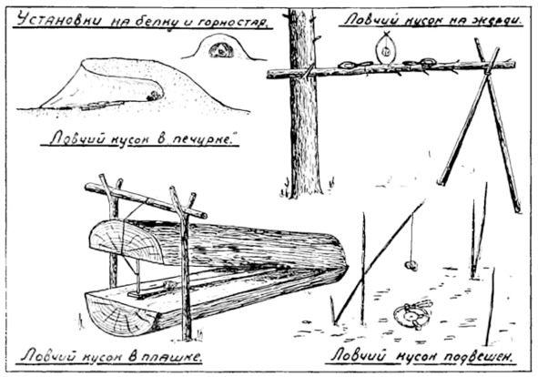 Иллюстрация к книге — Про тайгу и про охоту. Воспоминания, рекомендации, извлечения [image132_570a891e097fc805003a1ead_jpg.jpg]