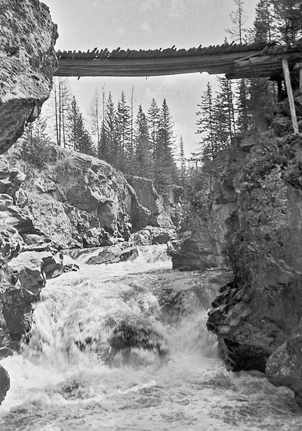 Иллюстрация к книге — Про тайгу и про охоту. Воспоминания, рекомендации, извлечения [image138_5c8a96e9a8a9f40700bf16ee_jpg.jpg]