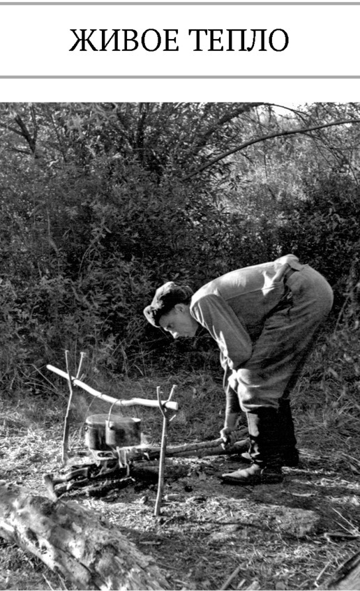 Иллюстрация к книге — Про тайгу и про охоту. Воспоминания, рекомендации, извлечения [image1_5c7d6fce76e5a00600a29379_jpg.jpg]