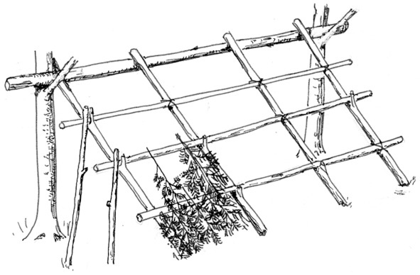 Иллюстрация к книге — Про тайгу и про охоту. Воспоминания, рекомендации, извлечения [image20_56e01965e13a300600a472a1_jpg.jpg]