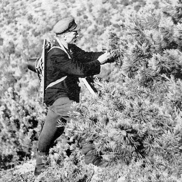 Иллюстрация к книге — Про тайгу и про охоту. Воспоминания, рекомендации, извлечения [image28_56e05d22e13a300600a4bd9f_jpg.jpg]