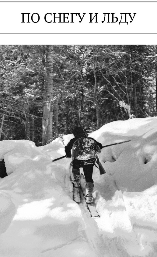 Иллюстрация к книге — Про тайгу и про охоту. Воспоминания, рекомендации, извлечения [image38_5c7d7249eb123906002ac3b4_jpg.jpg]