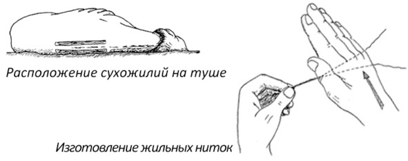 Иллюстрация к книге — Про тайгу и про охоту. Воспоминания, рекомендации, извлечения [image48_56e7eafcf5aecf05001097fc_jpg.jpg]