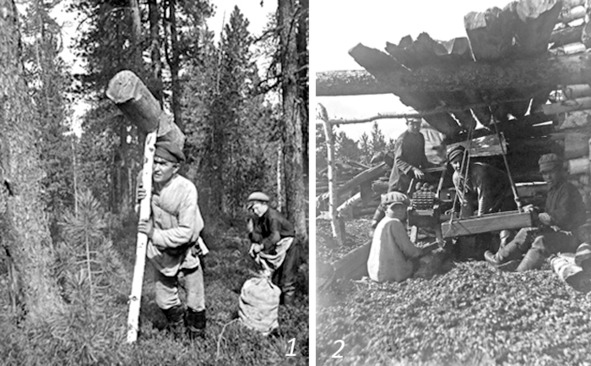 Иллюстрация к книге — Про тайгу и про охоту. Воспоминания, рекомендации, извлечения [image75_5c7426b51e30170800b7d5a5_jpg.jpg]