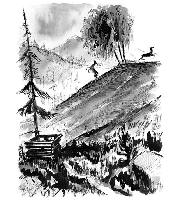 Иллюстрация к книге — Про тайгу и про охоту. Воспоминания, рекомендации, извлечения [image98_5c756e4ce5dcb00600003b0f_jpg.jpg]