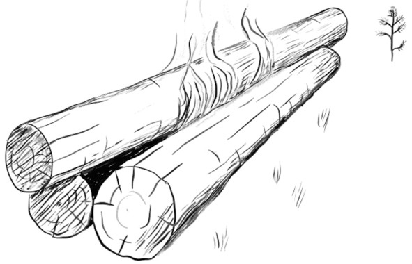 Иллюстрация к книге — Про тайгу и про охоту. Воспоминания, рекомендации, извлечения [image9_56df0e9de13a300600a3f19f_jpg.jpg]