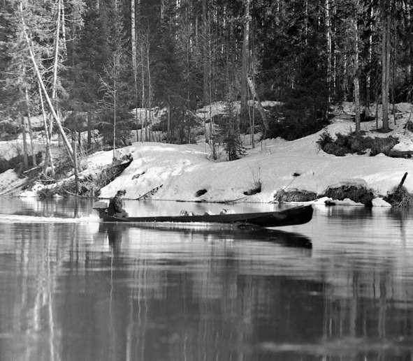 Иллюстрация к книге — Моя тропа. Очерки о природе [image16_56bdabc30d1a390500eddd98_jpg.jpg]