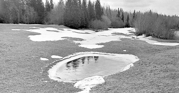 Иллюстрация к книге — Моя тропа. Очерки о природе [image19_56bdb4b90d1a390500ede4d0_jpg.jpg]