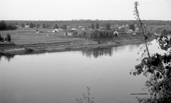 Иллюстрация к книге — Моя тропа. Очерки о природе [image21_56a8834fe2a0fb0500ca1326_jpg.jpg]