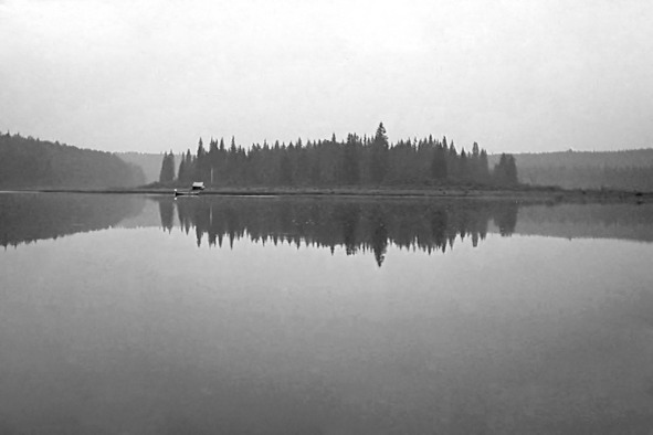 Иллюстрация к книге — Моя тропа. Очерки о природе [image24_56a88655e2a0fb0500ca1645_jpg.jpg]