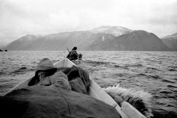 Иллюстрация к книге — Моя тропа. Очерки о природе [image46_56a911bee2a0fb0500caa6b2_jpg.jpg]