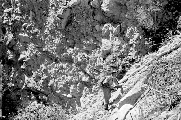 Иллюстрация к книге — Моя тропа. Очерки о природе [image48_56a913ace2a0fb0500caa8c6_jpg.jpg]