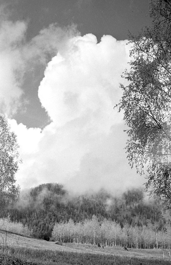 Иллюстрация к книге — Моя тропа. Очерки о природе [image52_56a91b5fe2a0fb0500cab076_jpg.jpg]