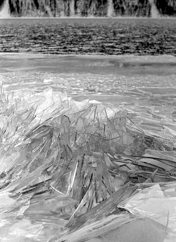 Иллюстрация к книге — Моя тропа. Очерки о природе [image60_56a9cf56e2a0fb0500cb0044_jpg.jpg]