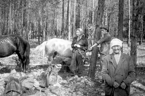 Иллюстрация к книге — Моя тропа. Очерки о природе [image63_56a9d36de2a0fb0500cb02dc_jpg.jpg]