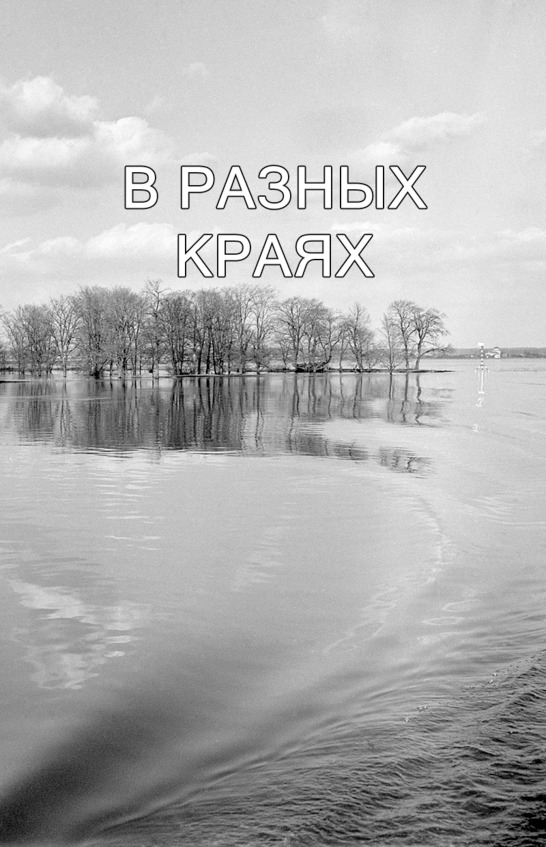 Иллюстрация к книге — Моя тропа. Очерки о природе [image65_56aa404de2a0fb0500cb63f0_jpg.jpg]