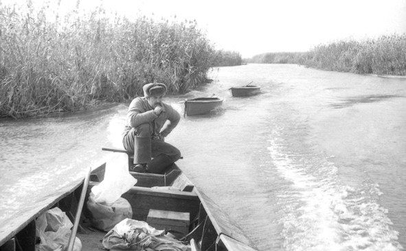 Иллюстрация к книге — Моя тропа. Очерки о природе [image69_56a9e49ce2a0fb0500cb14fa_jpg.jpg]