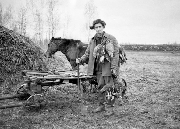 Иллюстрация к книге — Моя тропа. Очерки о природе [image72_56a9e77be2a0fb0500cb16d5_jpg.jpg]