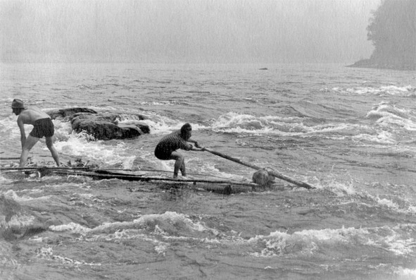 Иллюстрация к книге — Моя тропа. Очерки о природе [image77_56a9f1c2e2a0fb0500cb1d3b_jpg.jpg]