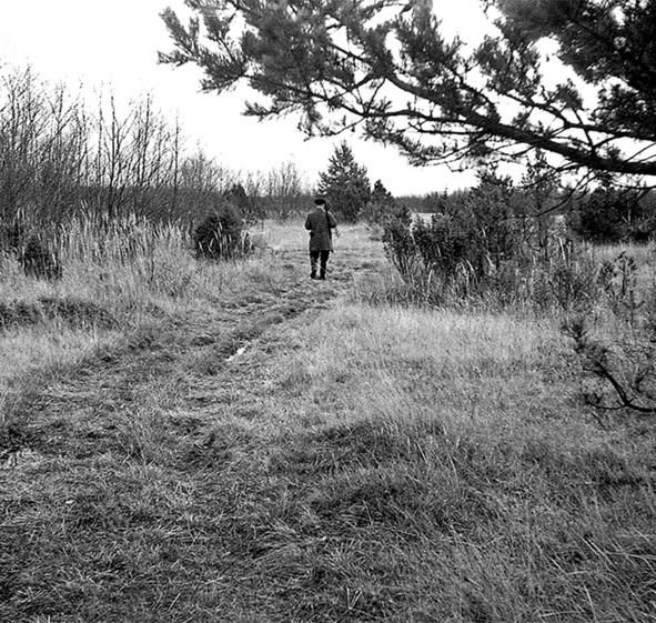 Иллюстрация к книге — Моя тропа. Очерки о природе [image81_5c5dcefd9cff9c0a007c69fb_jpg.jpg]