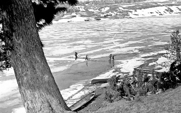 Иллюстрация к книге — Моя тропа. Очерки о природе [image8_56a2628f968e7b4f3661c634_jpg.jpg]