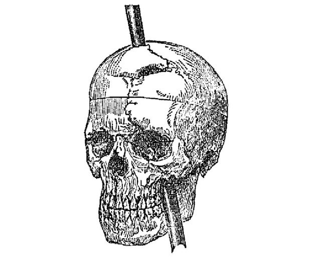 Иллюстрация к книге — Промывка мозга. Программа для ясного мышления, укрепления отношений с людьми и развития полезных привычек [i_004.jpg]