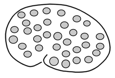 Иллюстрация к книге — Машина эмоций [i_008.jpg]