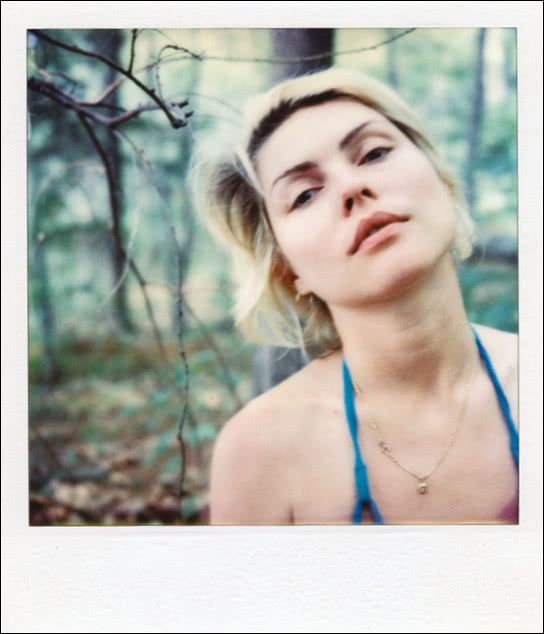 Иллюстрация к книге — Сердце из стекла. Откровения солистки Blondie [i_003.jpg]