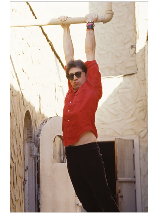 Иллюстрация к книге — Сердце из стекла. Откровения солистки Blondie [i_005.jpg]