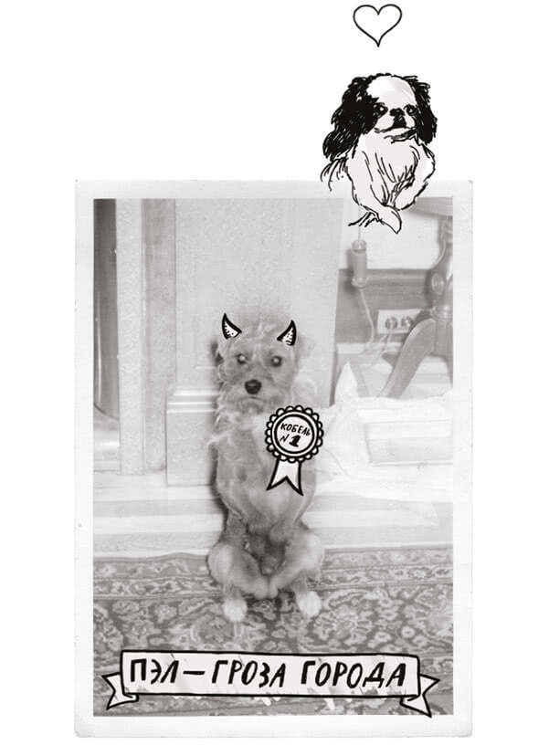 Иллюстрация к книге — Сердце из стекла. Откровения солистки Blondie [i_006.jpg]